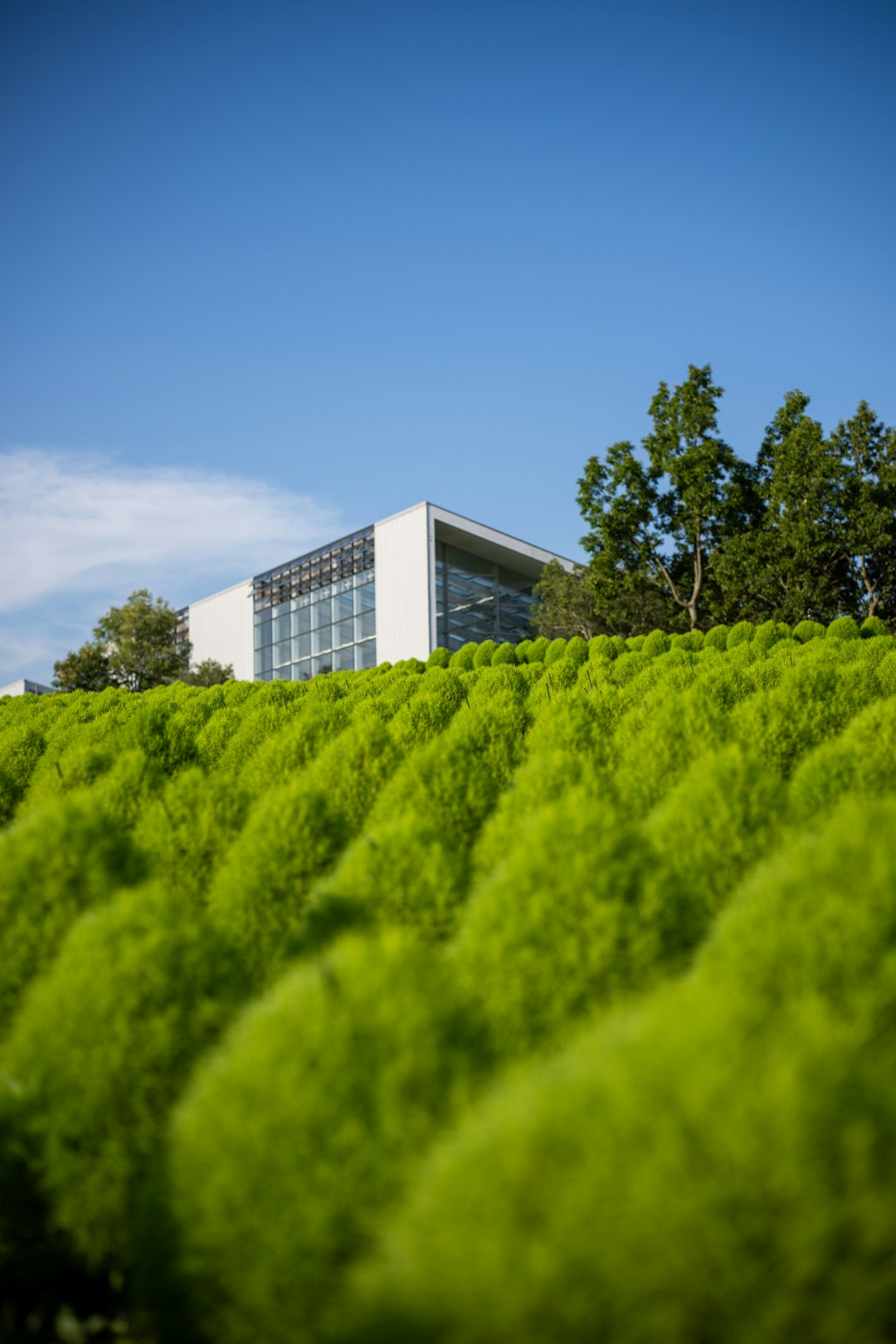 Carbon Neutral Tower